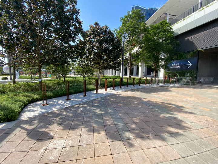 Tree-lined cycle path beside a Hong Kong promenade